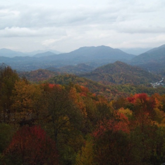 Fall View from Above